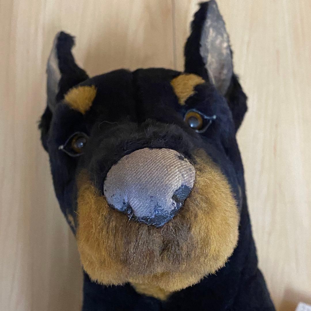 ジョックライン　イタリア製　特大 ドーベルマン　座り　ビッグサイズ　no.10