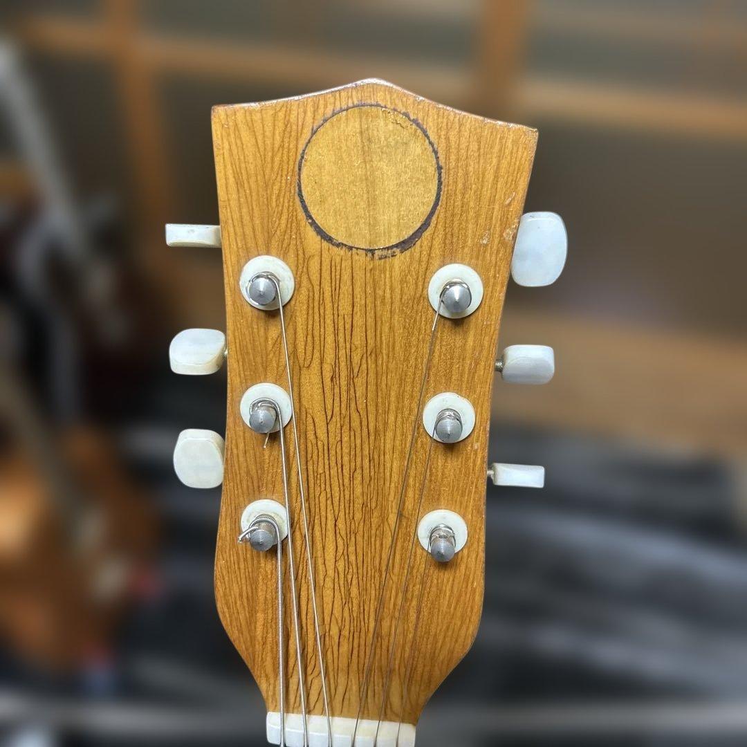 TEISCOセミホロウボディ 3ピックアップフルアコギター 日本製