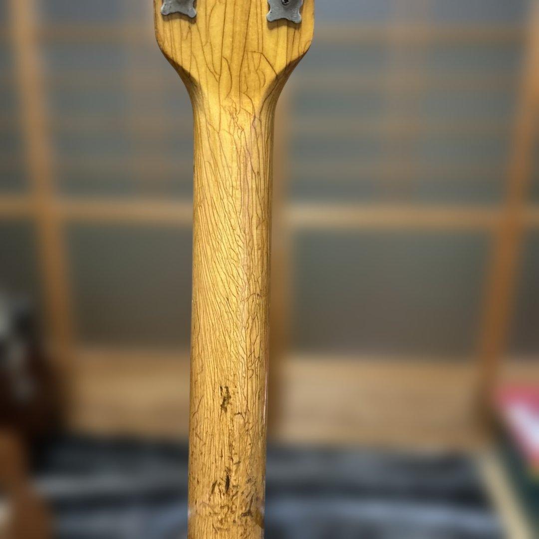 TEISCOセミホロウボディ 3ピックアップフルアコギター 日本製