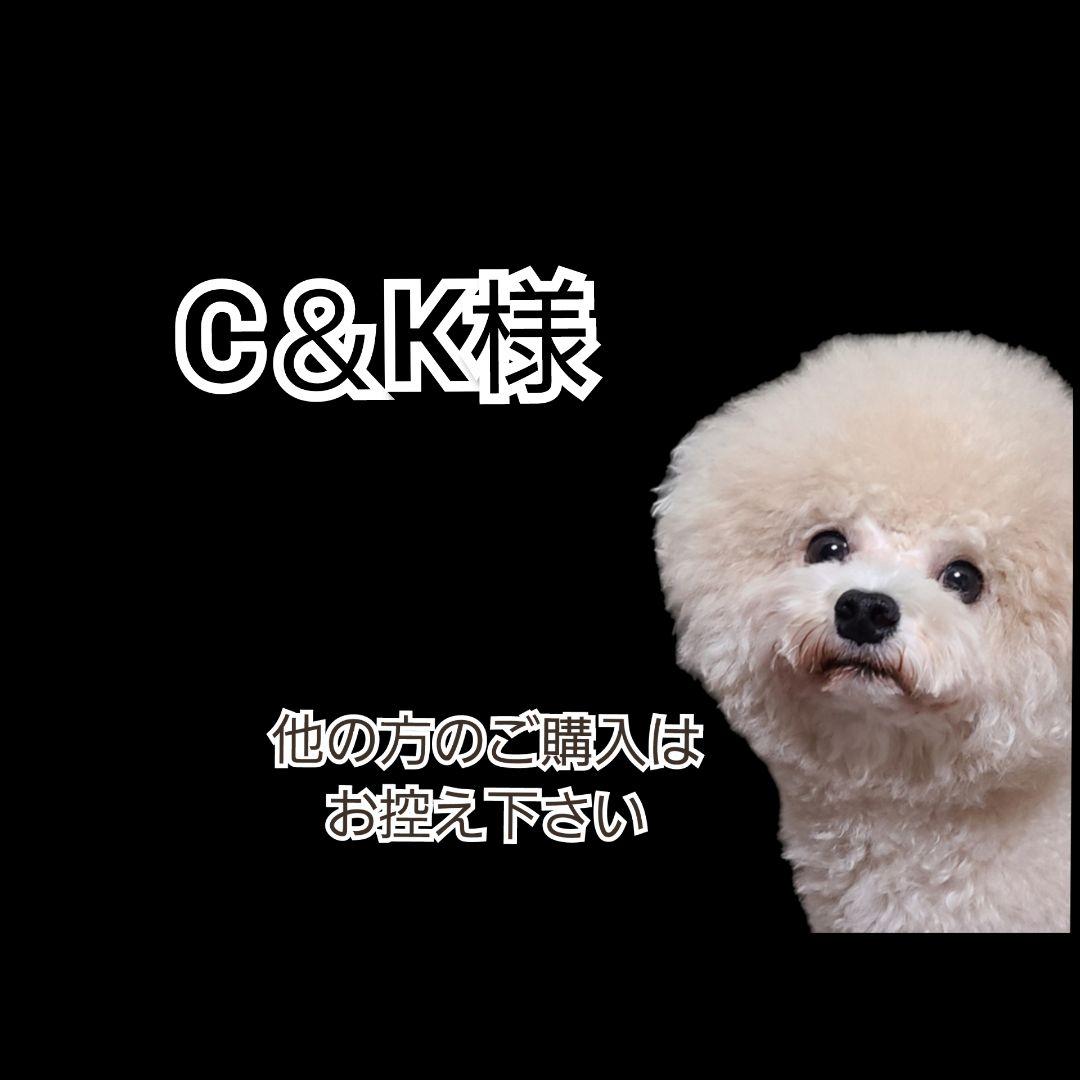 【C＆K】モアリッチ わんにゃんサプリ 18ｇ ２袋