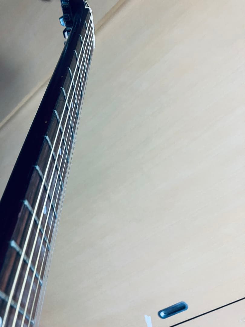 seagull S6 fork カナダ中堅モデルケース付きハンドメイドギター