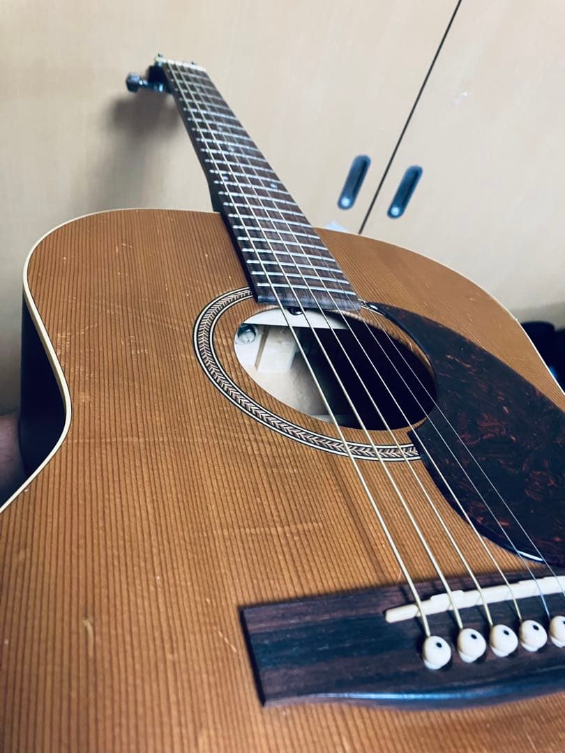 seagull S6 fork カナダ中堅モデルケース付きハンドメイドギター