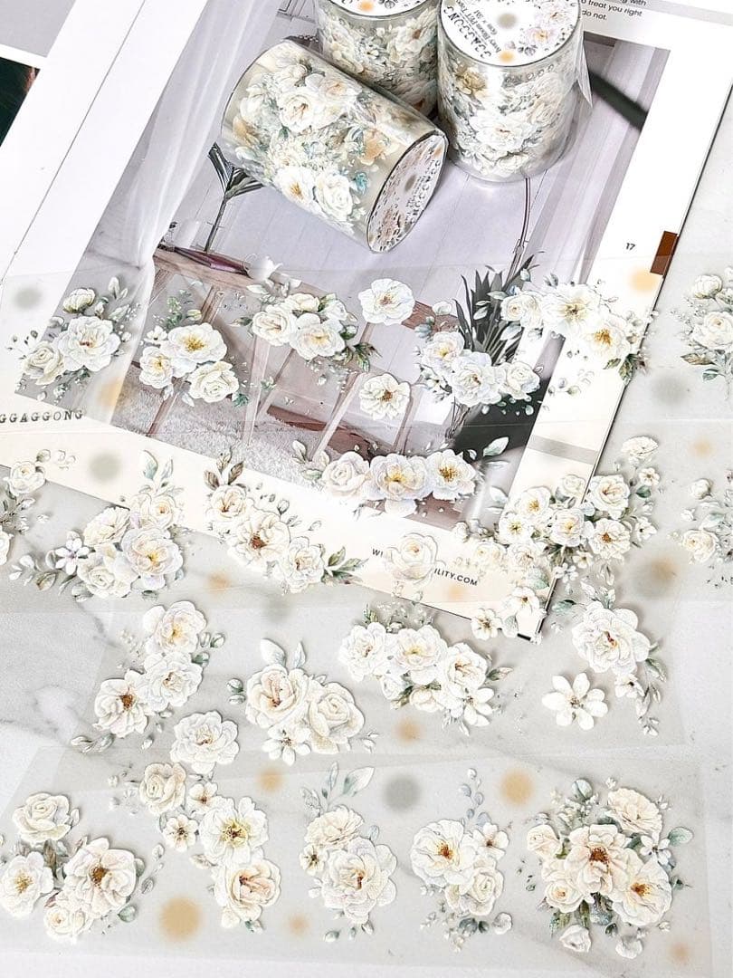 ggaggong 海外マスキングテープ　マステ 【2481】