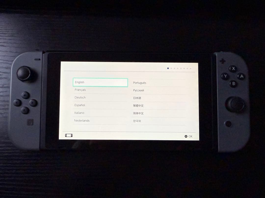 Nintendo Switch 本体 グレー SDカードとスプラトゥーンケース付