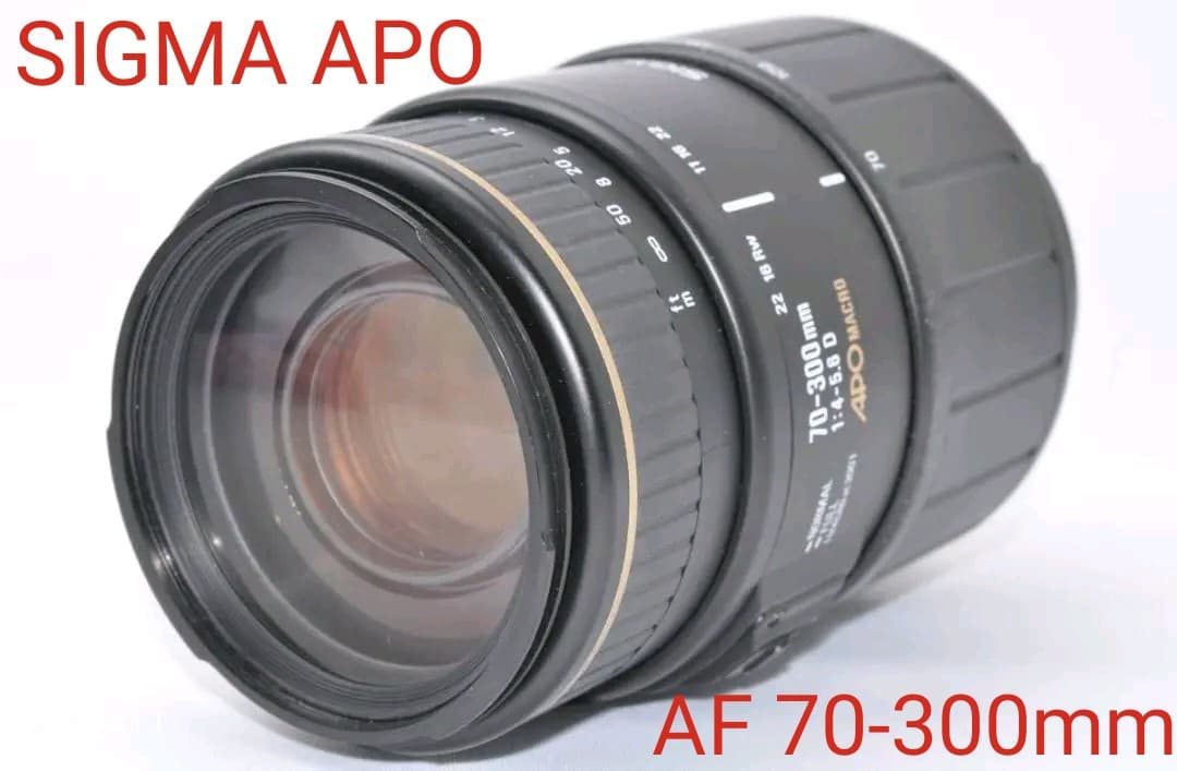 10月17日限定価格♪【Nikon用】SIGMA APO AF 70-300mm