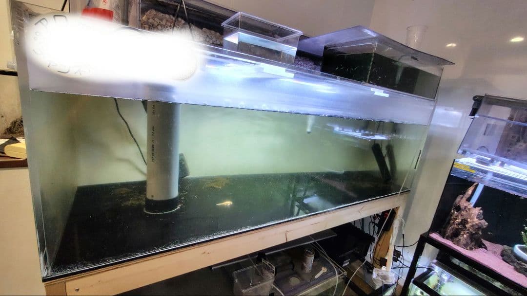 【送料込】大型アクリル水槽　1800×750×600（h）底面ブラック