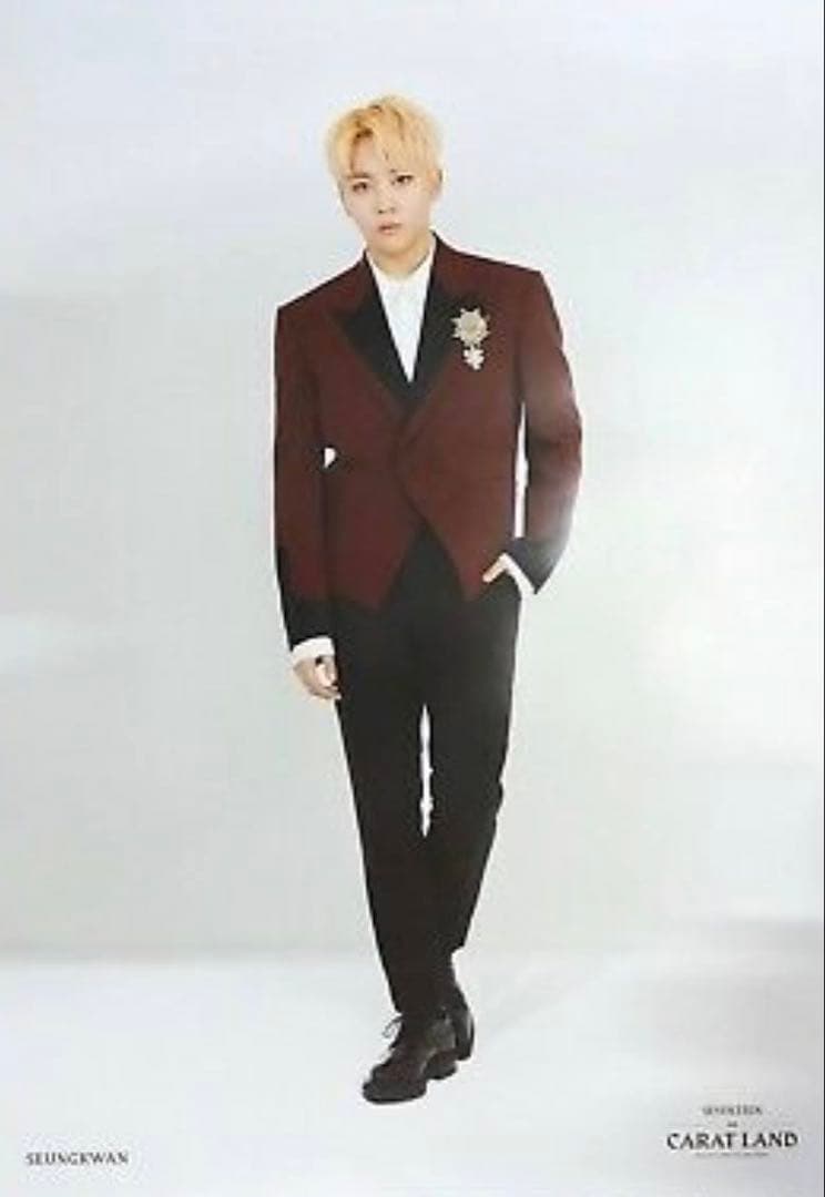 SEVENTEEN セブチ 2018 CARAT LAND ポスター セット