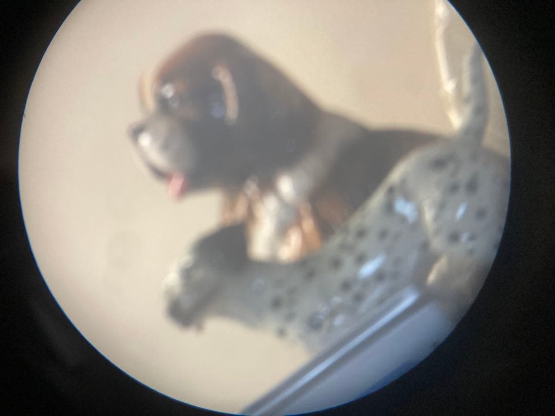 旧日本軍 双眼鏡 KAIKOSHA 偕行社 将校用双眼鏡　当時物　シリアル付き