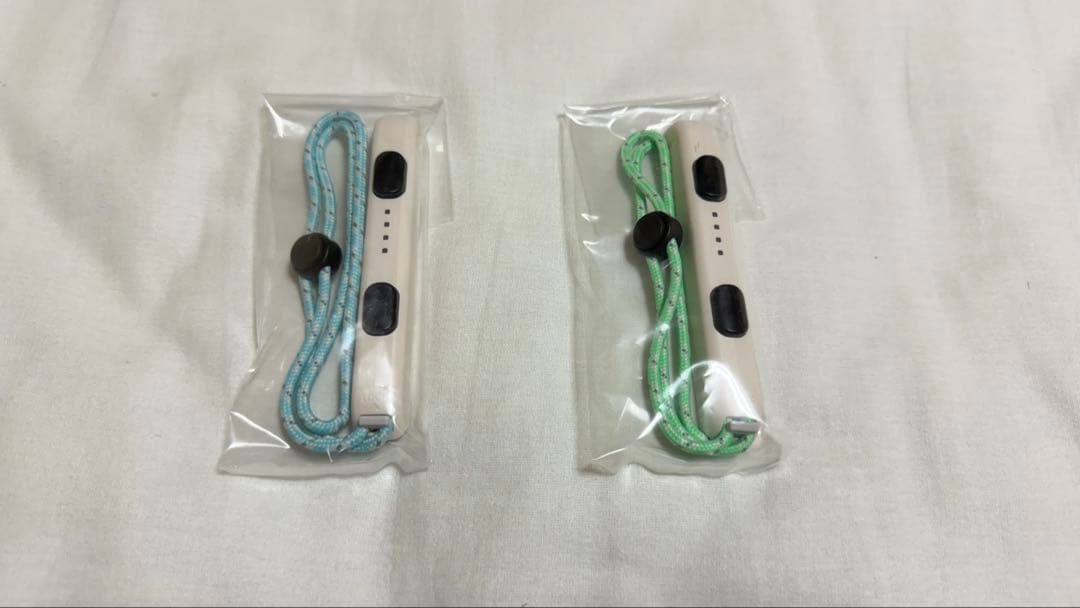 Nintendo Switch あつまれどうぶつの森セット　オマケ有　※ソフト無