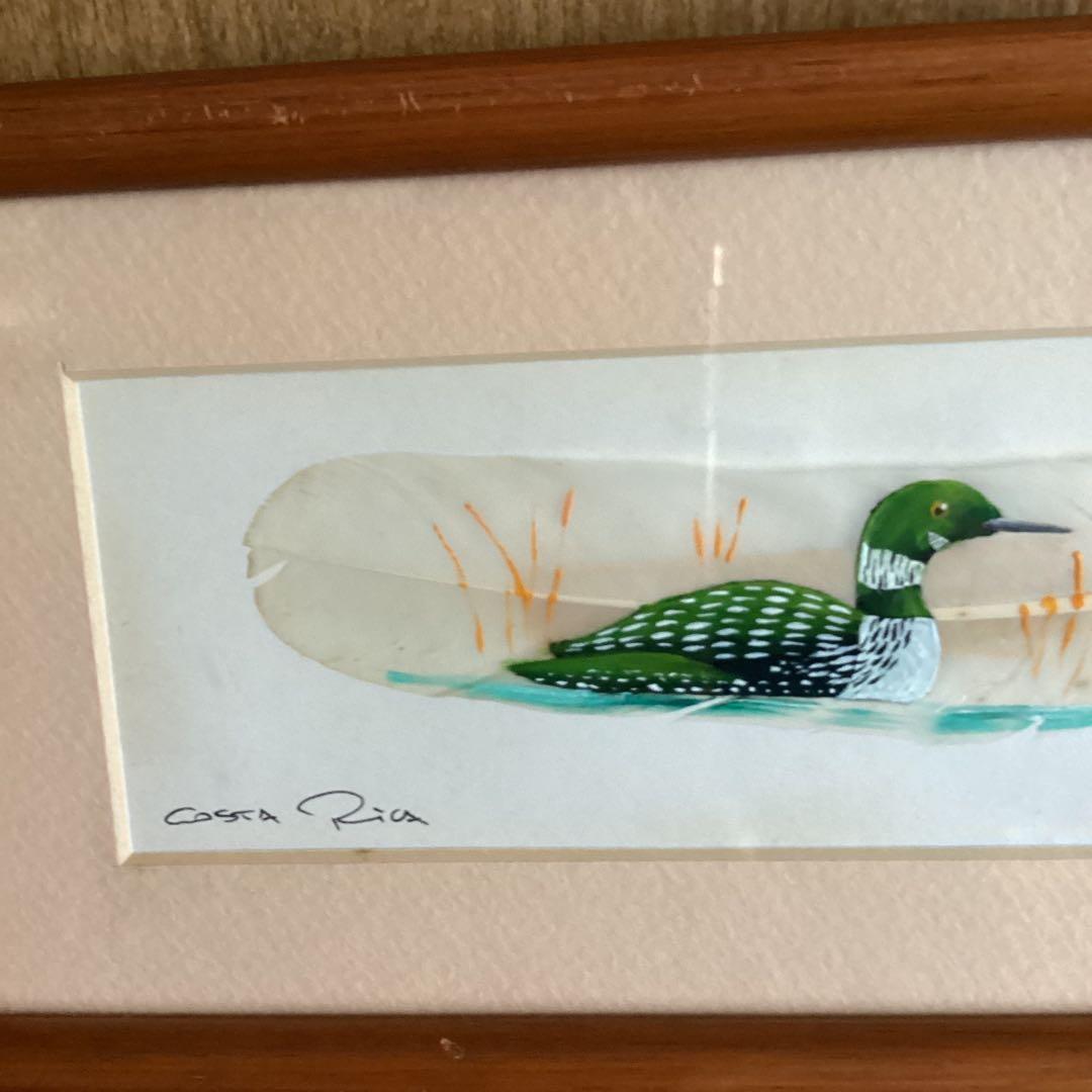 水彩画　　タイトル【　鴨　】鳥の羽に鴨の絵が描かれてます。壁掛け額装　直筆サイン