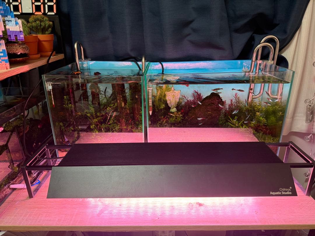 Chihiros wrgb Slim 60 とライトシェード（1枚)