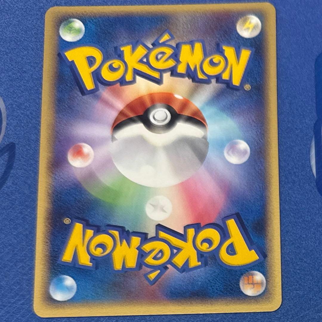 ポケモンカードゲーム ポケパーク プレミアム ファイル ブルーシート セット