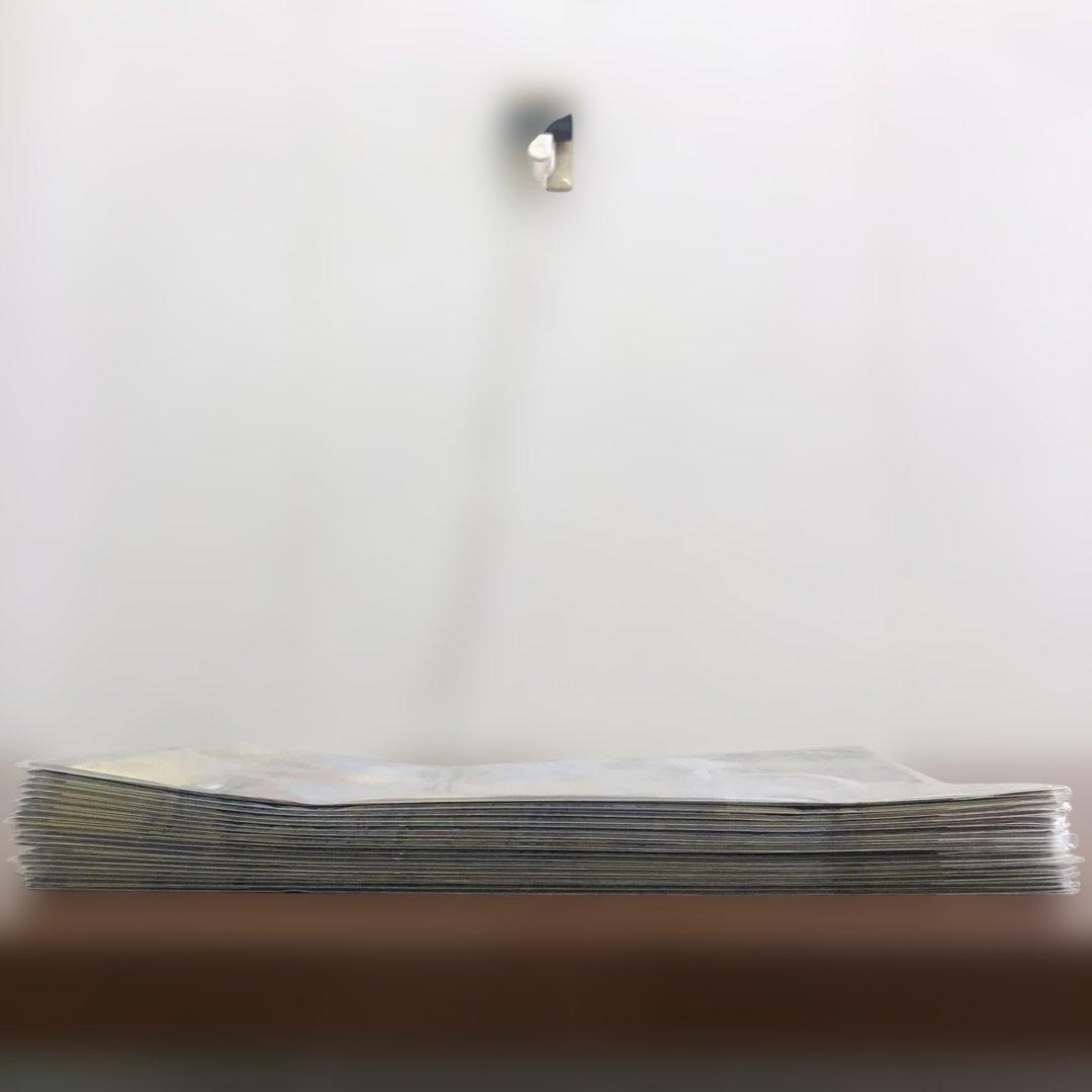 ❶一番くじ ワンピース 20th L賞 クリアファイル 11種 20点セット