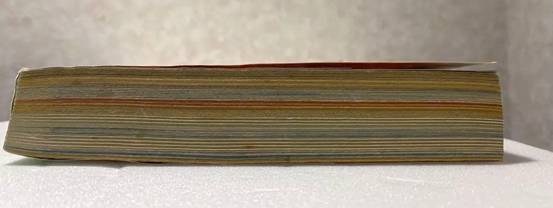 Cookie クッキー 2007年5月号 NANA 表紙 矢沢あい