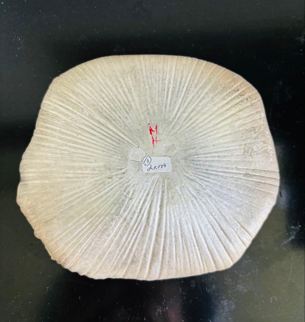 林みちよ　縁レース銀彩皿（No.10）　菓子皿　オブジェ　アート　茶道