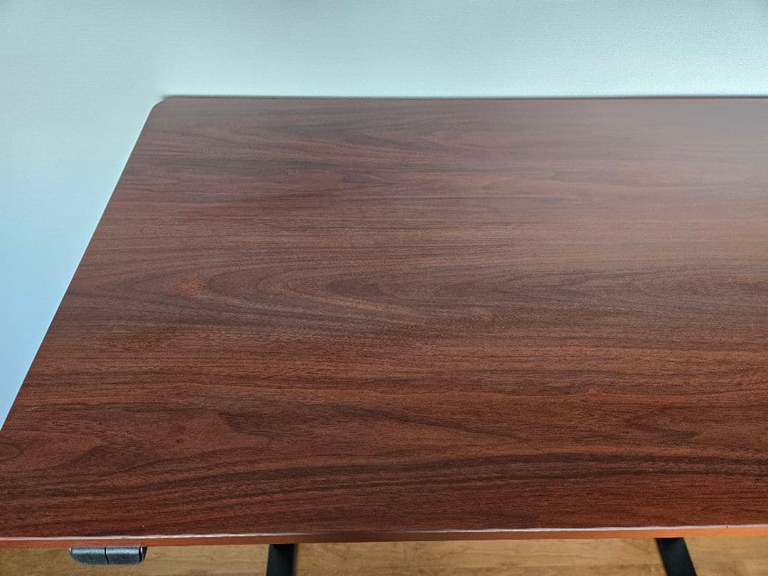 最終処分価格！　FLEXISPOT　EG-1