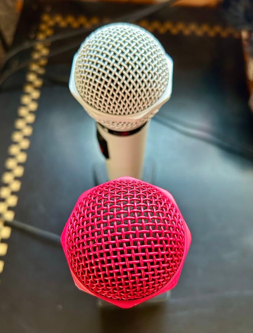 DAM ダイナミックマイク 2本セット