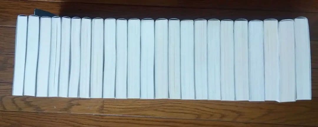 穏やか貴族の休暇のすすめ。 20巻+短編集3巻セット