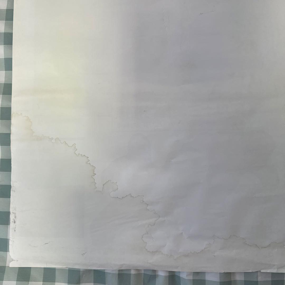 スウィートホーム　映画　ポスター　B2サイズ