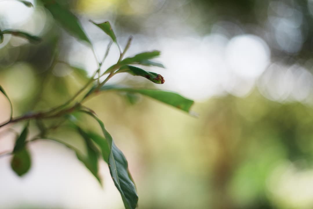 【極美品】Carl Zeiss Planar 50mm F1.4 MMJ 970