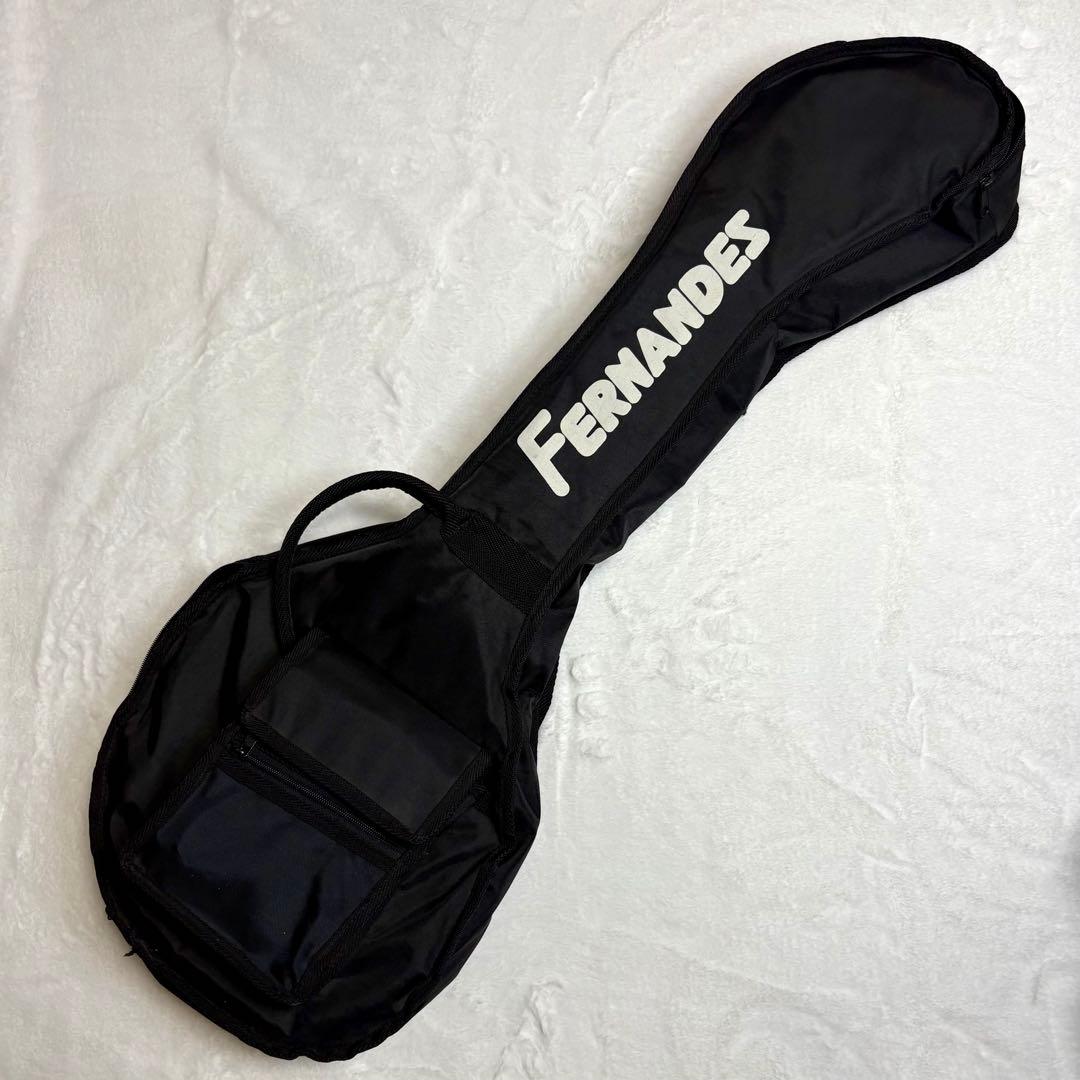 FERNANDES フェルナンデス ZO-3 エレキギター 専用ソフトケース付き