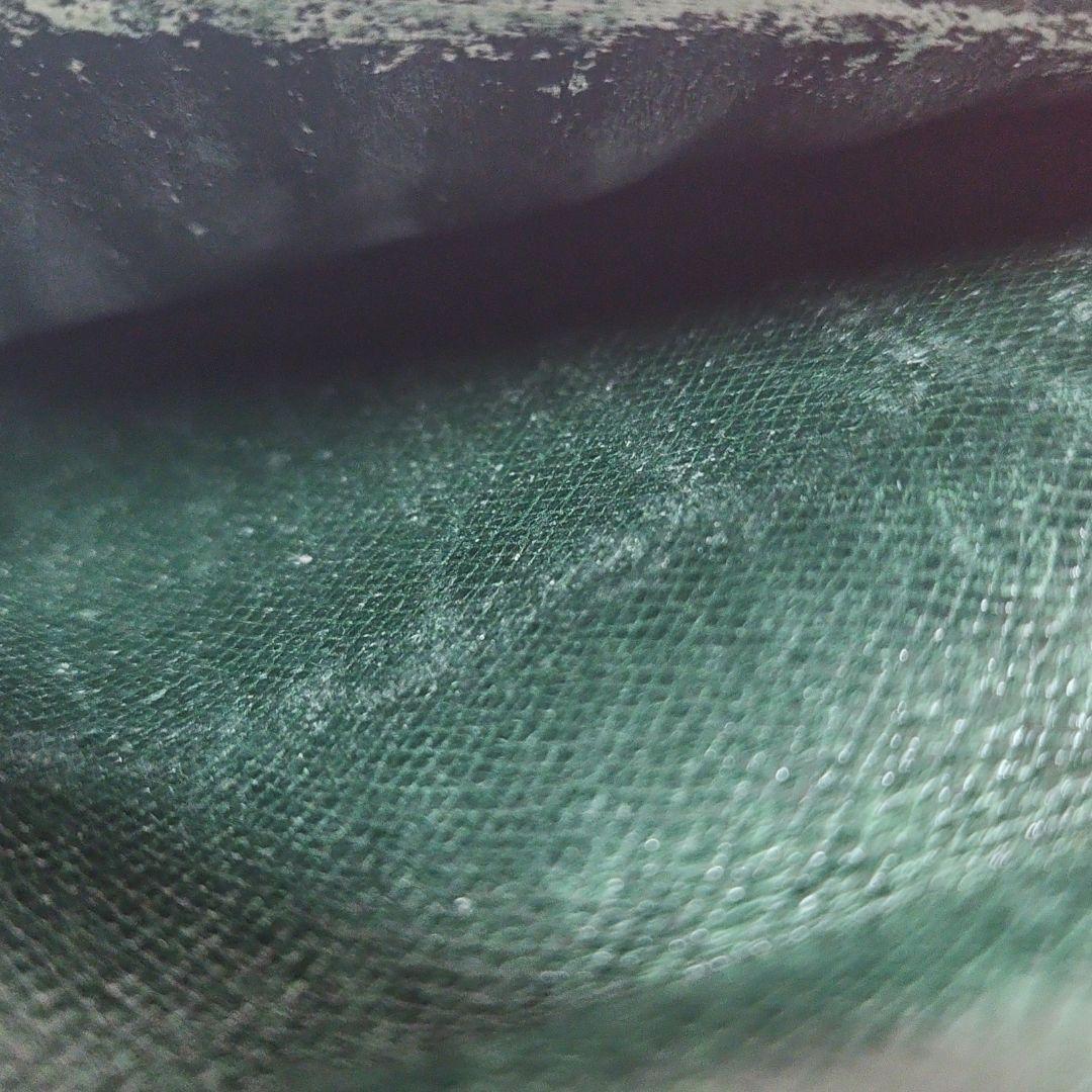 【希少】ルイヴィトン タイガ エピセア 二つ折り財布 パスポートケース グリーン