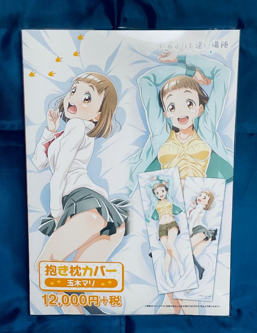 【新品未開封・正規品】玉木マリ 抱き枕カバー 宇宙よりも遠い場所 ムービック