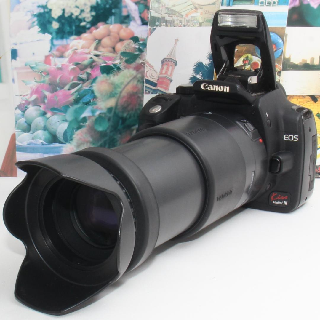 ❤️一眼レフデビューに最適❤️キャノン EOS kiss N 超望遠レンズセット
