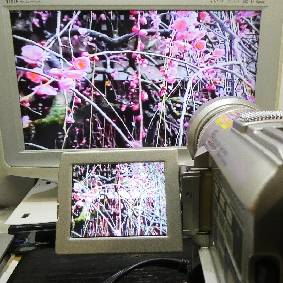 動作品 ソニーDCR-PC100 MiniDV ビデオカメラ DVDダビングに