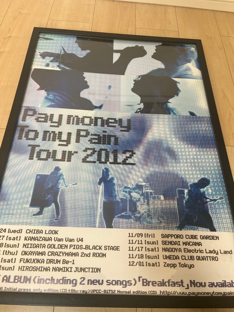 Pay money To my Pain Tour 2012 ポスター