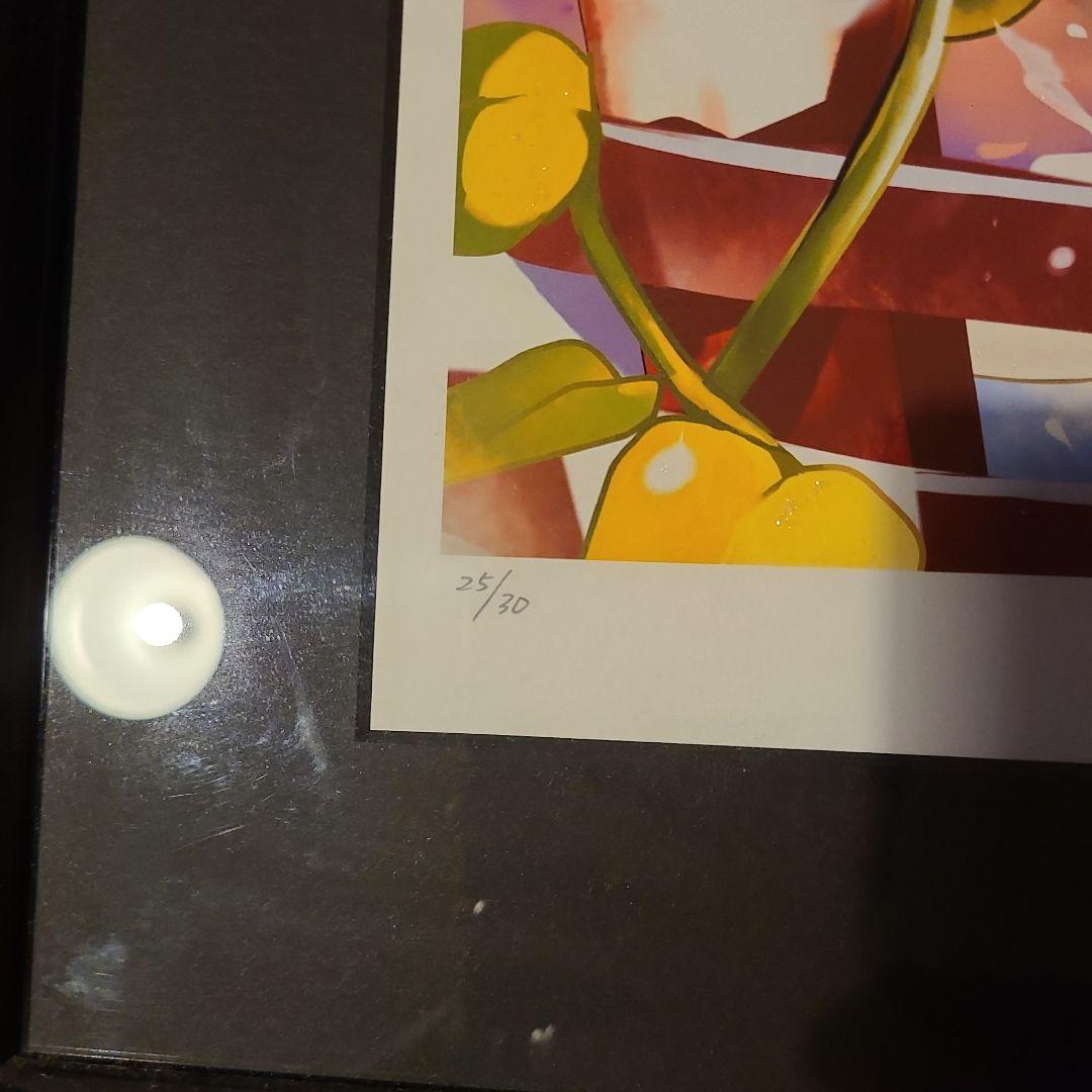 【大特価】着物曜日　茨乃