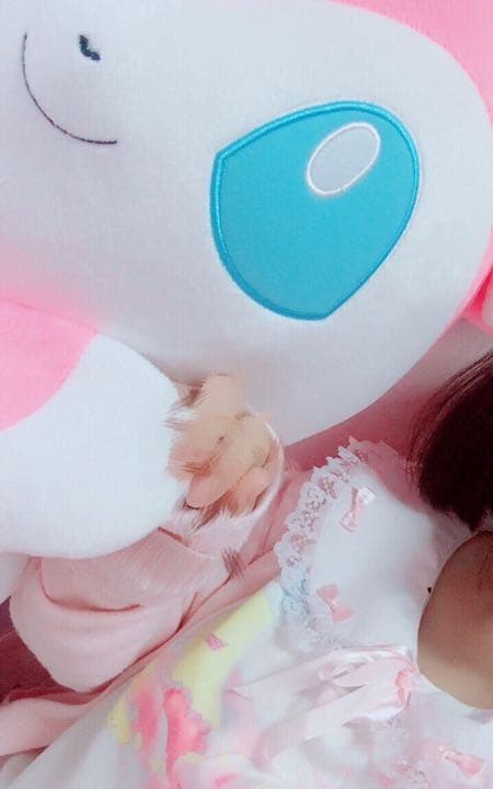 等身大ニンフィア　ポケモン　ブイズ　Eイーブイ