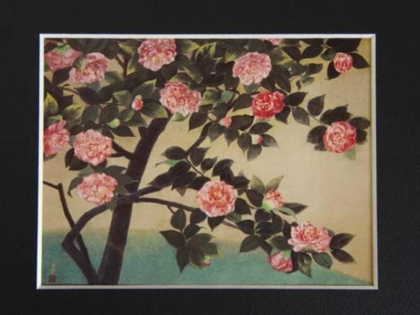 横溝由貴、【花】、希少な額装用画集より、新品額装付、状態良好