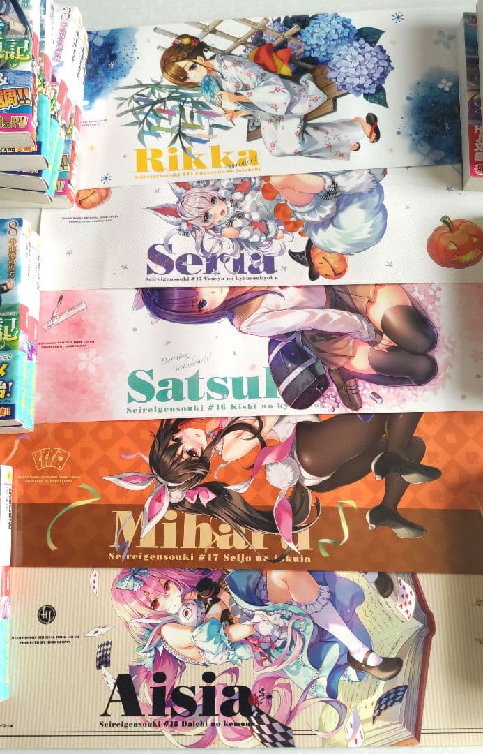 精霊幻想記 1-20巻 メロンブックス特典ブックカバー 小冊子セット