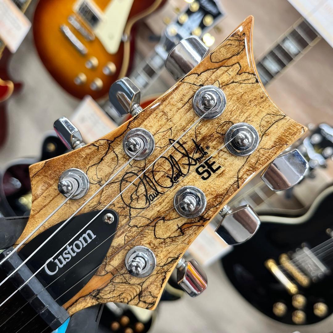 【10967】PRS SE CUSTOM 24 SPALTED MAPLE