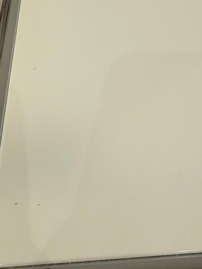 USM ハラー サイドテーブル　ローテーブル ホワイト