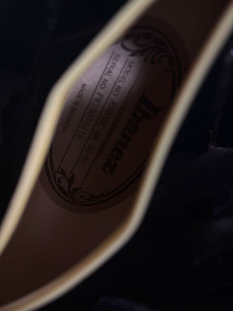 Ibanez エレキギター ブラック