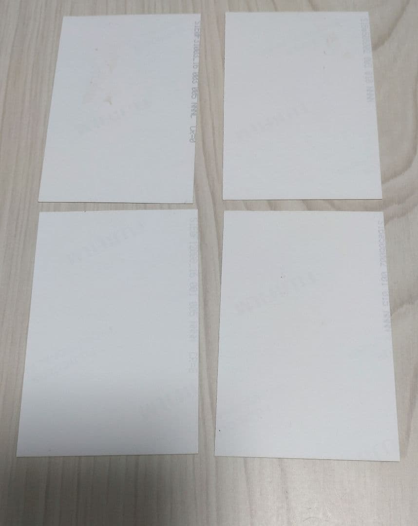 真天地開闢集団ジグザグ　姿写絵