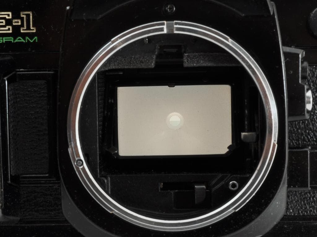 キヤノン AE-1 PROGRAM ブラック FD 50 f1.8 SC 動確