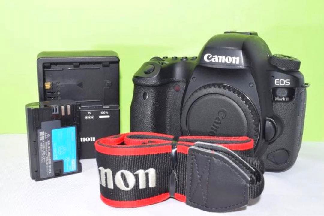 Canon 6D Mark II ボディ　☆送料無料☆