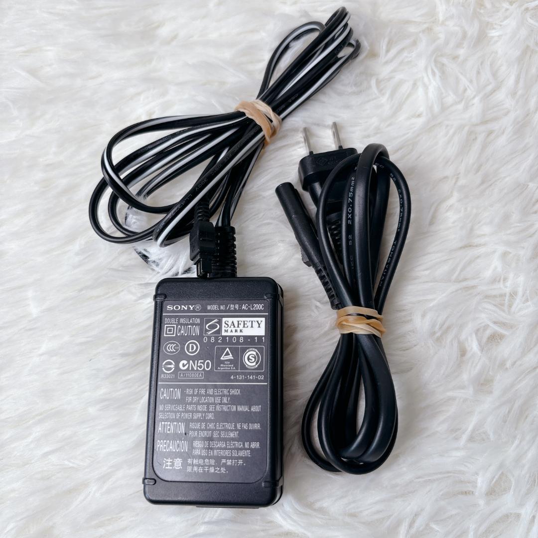 SONY ソニー HDR-XR500V ハンディカム ビデオカメラ シルバー