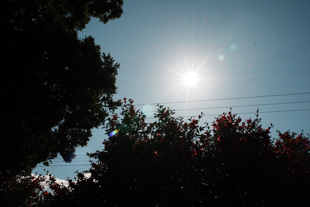 【美品】動作◎ ニコン　Ai Nikkor 35mm F1.4 559