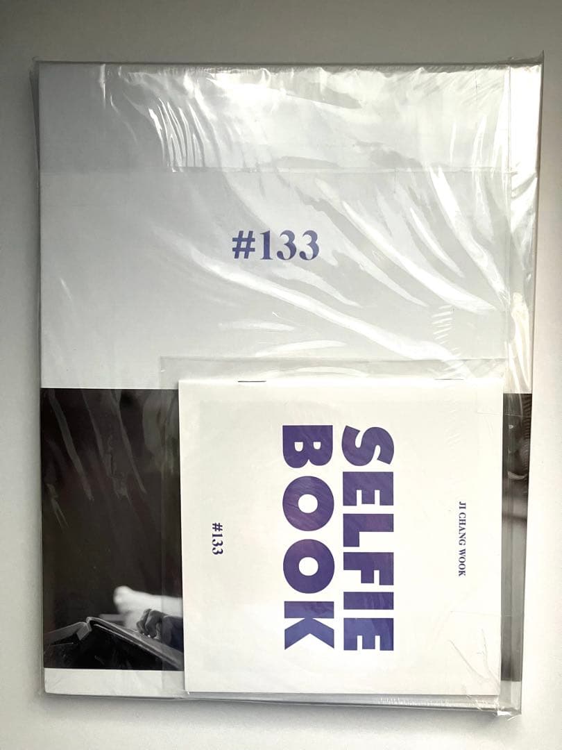 【DVDつき】新品・未使用　チチャンウク　写真集　#133　지창욱 池昌旭