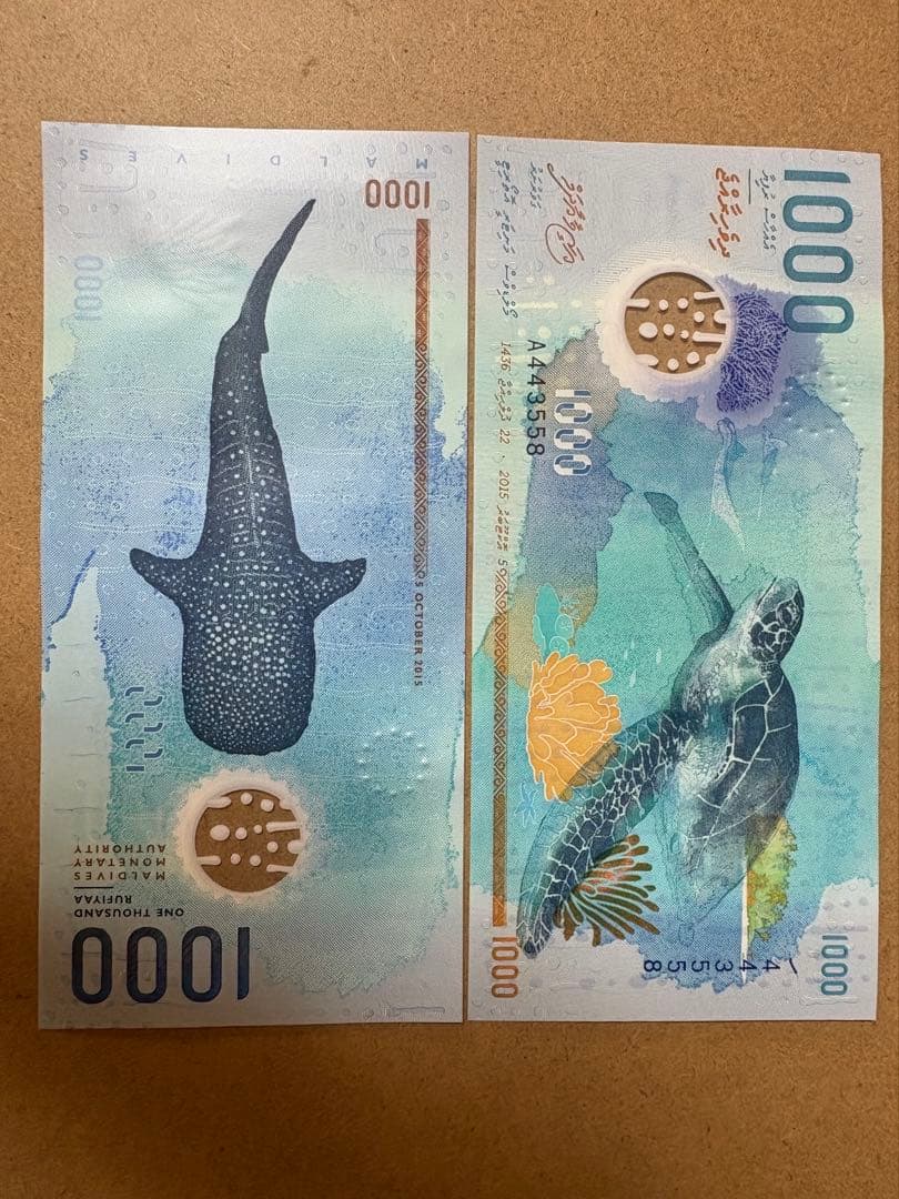 モルディブ　ルフィア　1000ルフィア(MVR) 紙幣　ジンベイザメ　ウミガメ