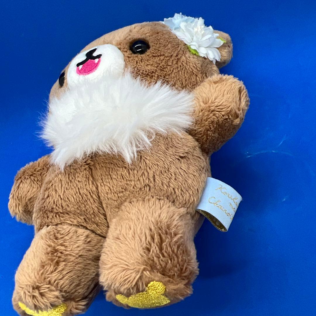 リラックマストア限定　チャイロイコグマ　がおがおポージングぬいぐるみ