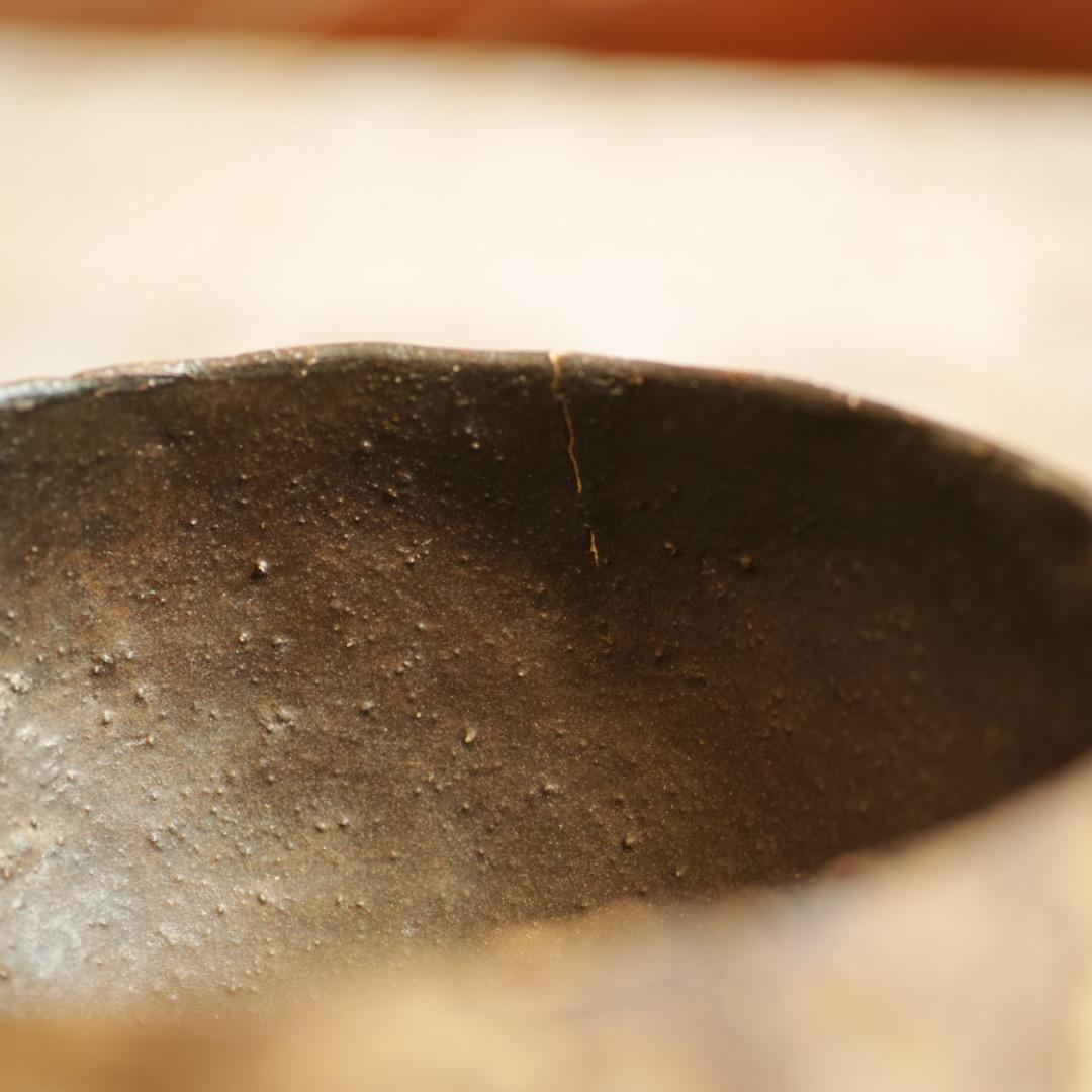 泉田之也 フリーカップ