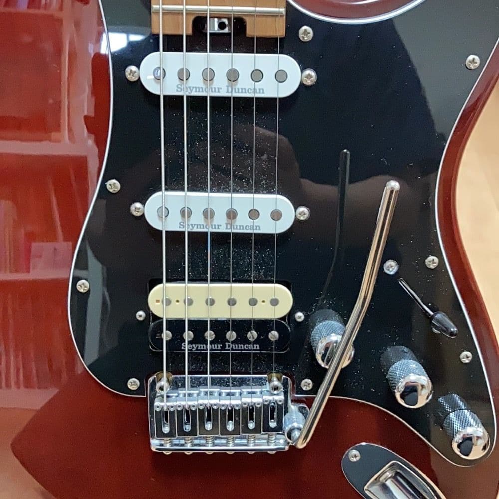 Bucchus グローバルシリーズ