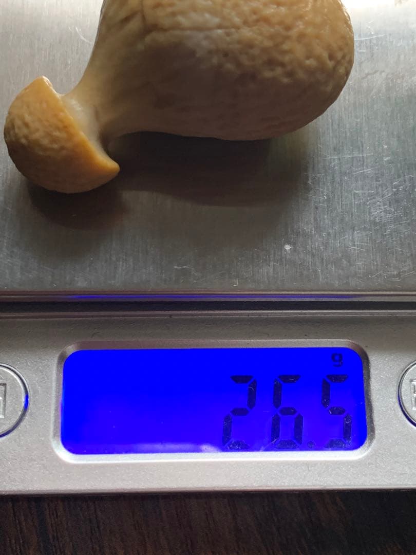 アラシャンゴビアゲート　蒙古瑪瑙　原石　水石　翡翠　オパール　根付　天珠 翡翠