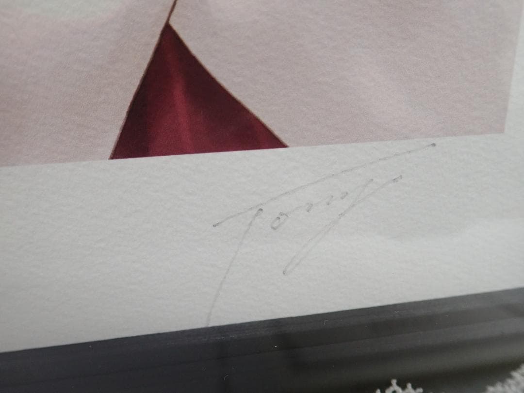 ⑧未使用・保証書付 Tony トニー「ゴスロリ」ミクスドメディア　アールビバン