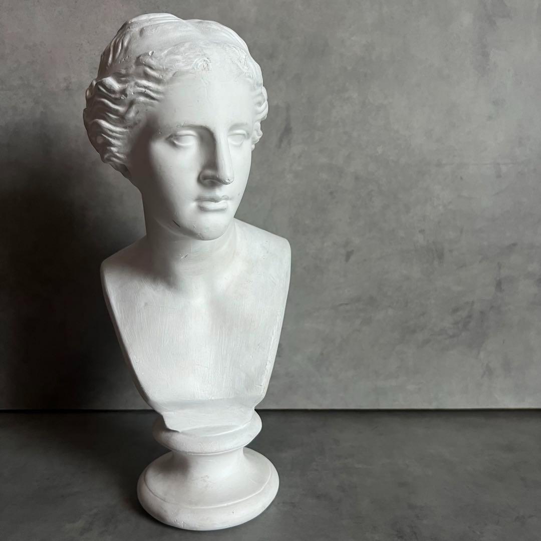 希少 ミロのヴィーナス 石膏 胸像 デッサン アート 彫刻 美術 芸術 アート